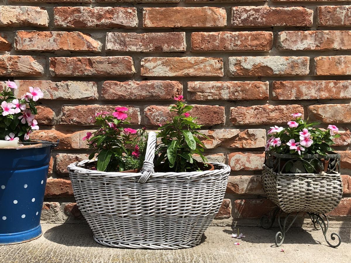 Janicsar Garden Apartman Eğri Dış mekan fotoğraf