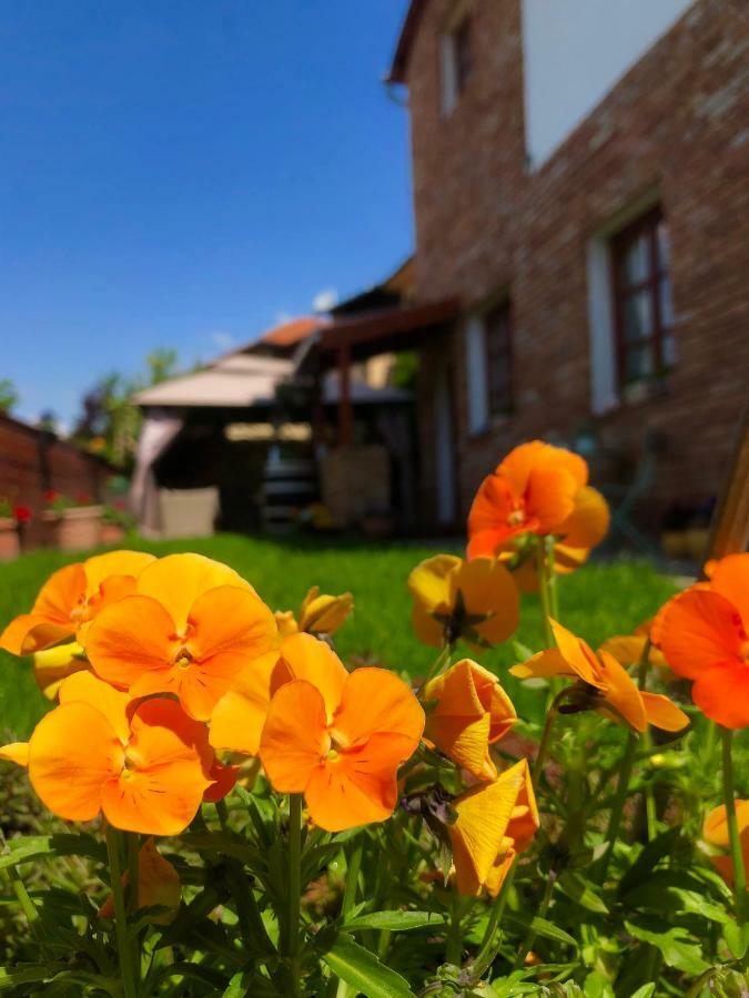 Janicsar Garden Apartman Eğri Dış mekan fotoğraf