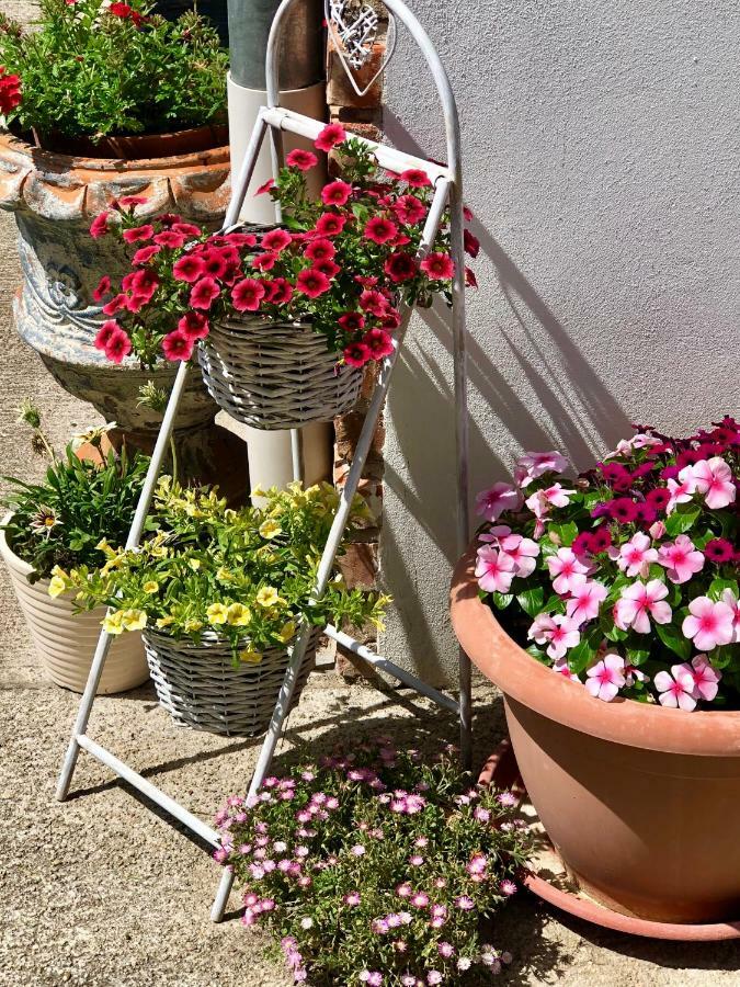 Janicsar Garden Apartman Eğri Dış mekan fotoğraf