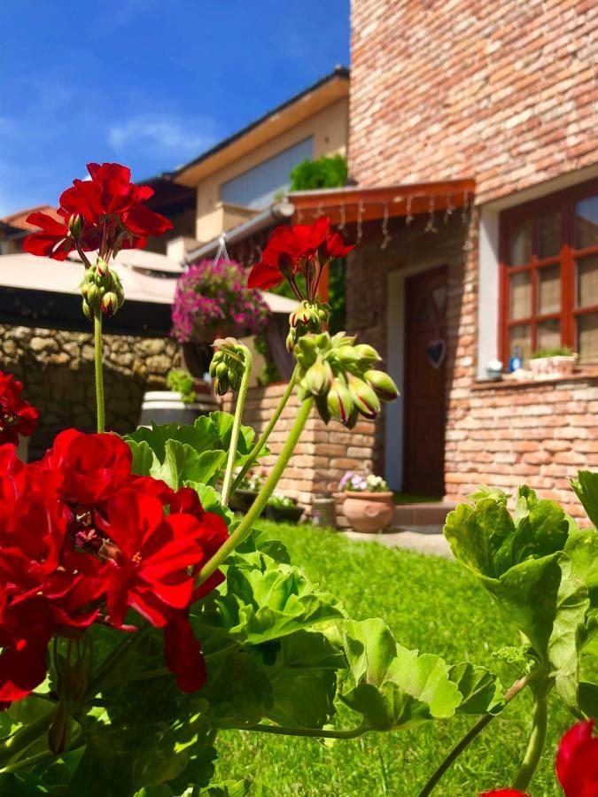 Janicsar Garden Apartman Eğri Dış mekan fotoğraf