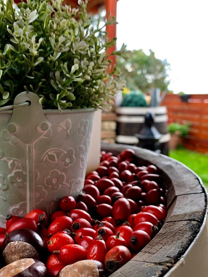 Janicsar Garden Apartman Eğri Dış mekan fotoğraf